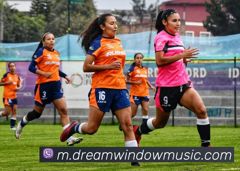 乐竟平台服务体系